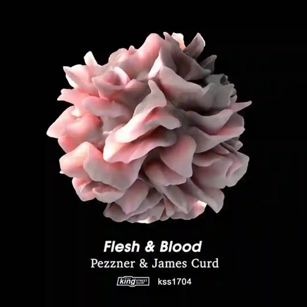 Flesh & Blood cover