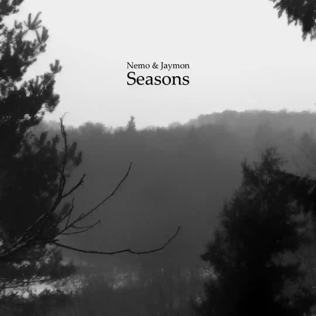 Im tiefen Winterwald cover