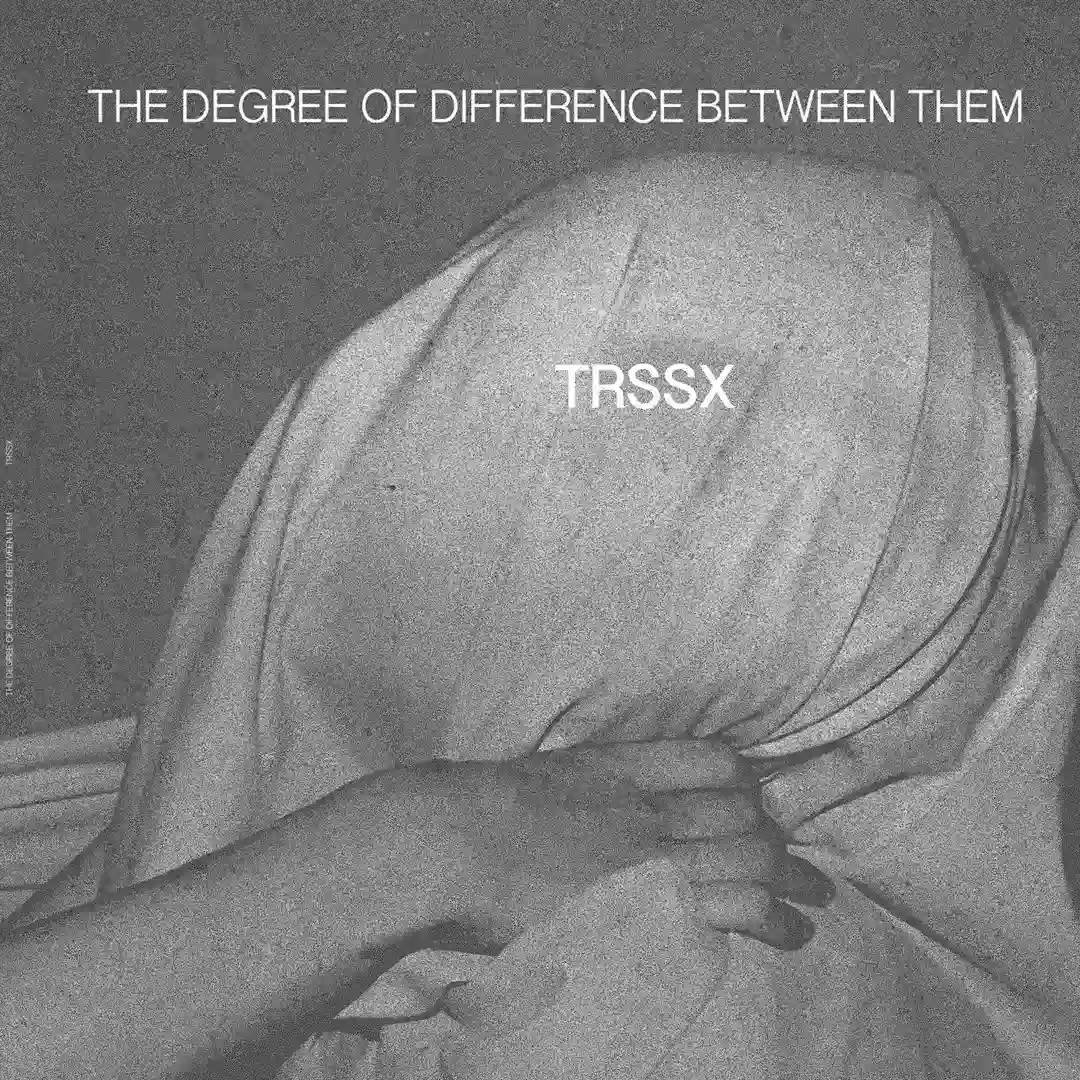 The Degree Of Difference Between Them cover