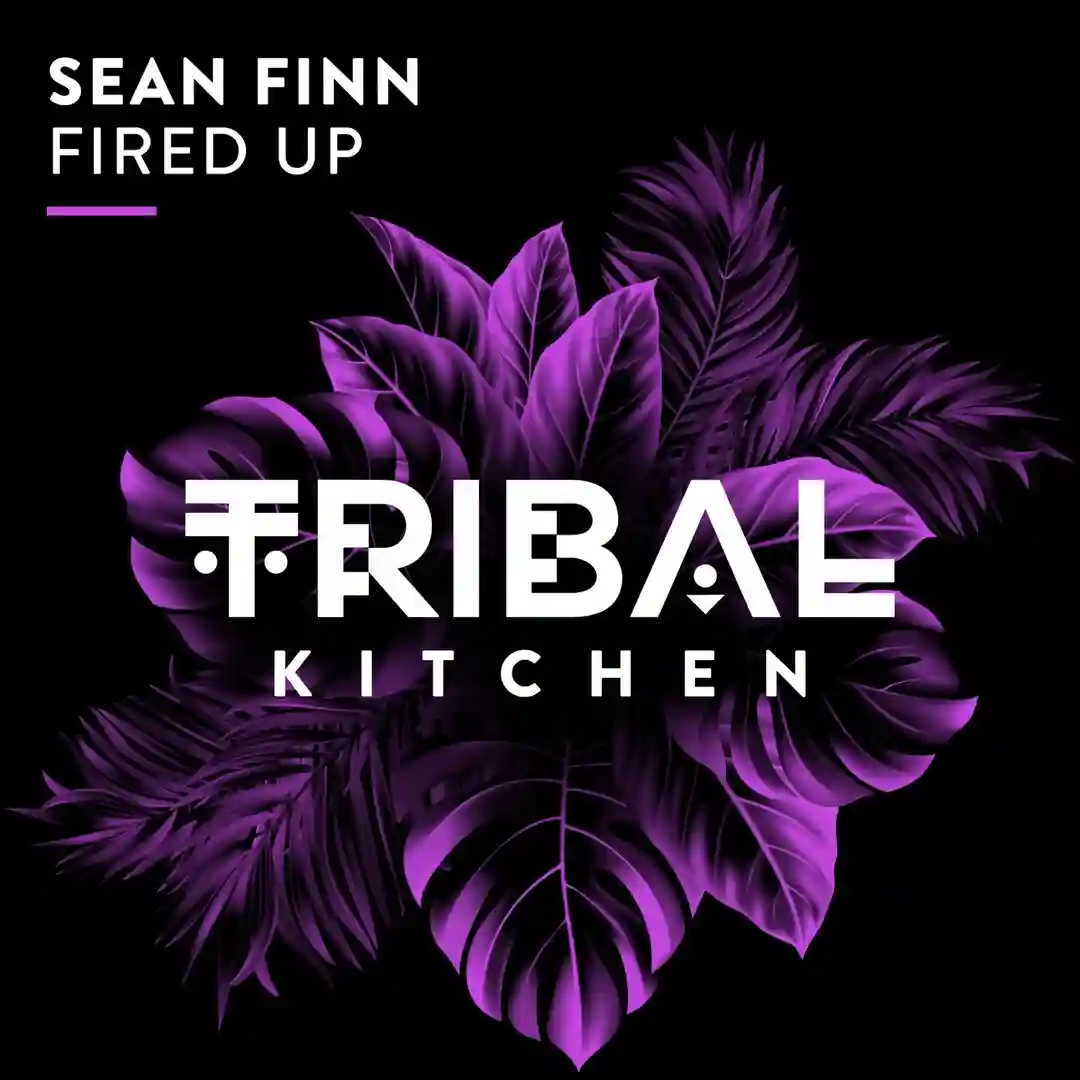 Fired Up cover