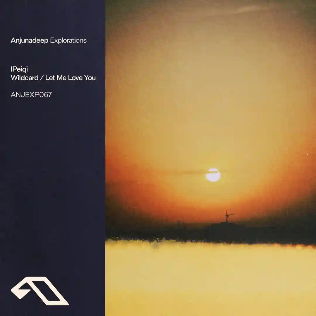 Wildcard (Extended Mix) cover
