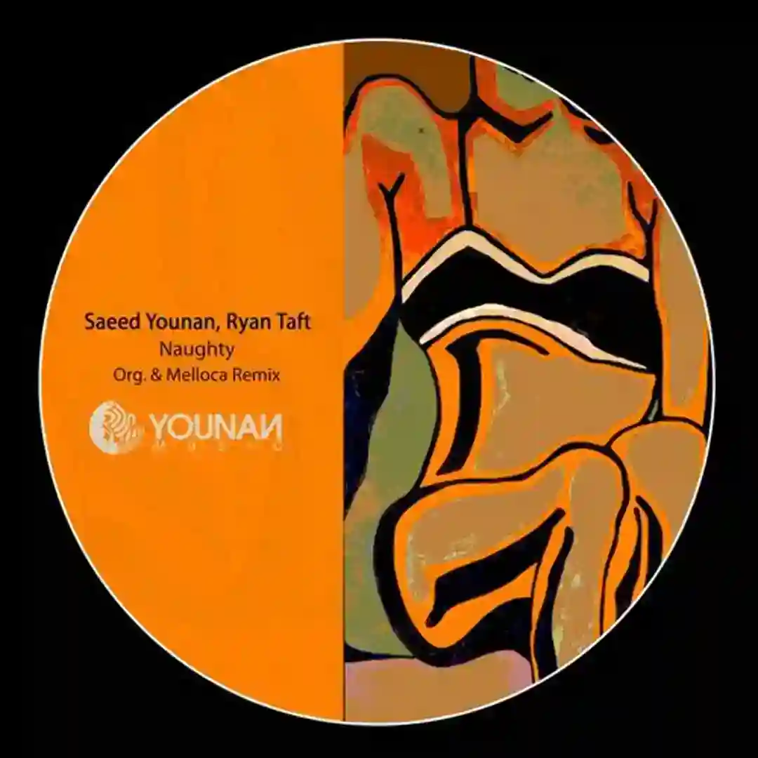 Naughty cover