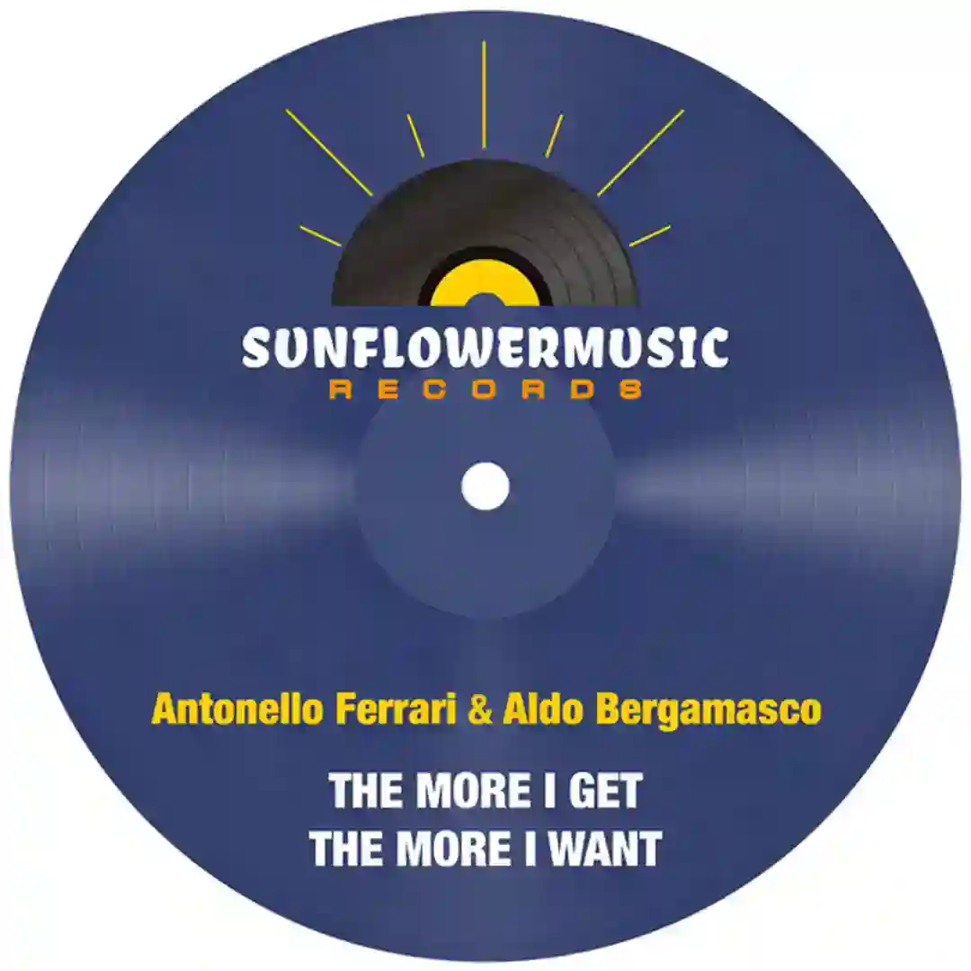 The More I Get The More I Want (Antonello Ferrari & Aldo Bergamasco Club Mix) cover