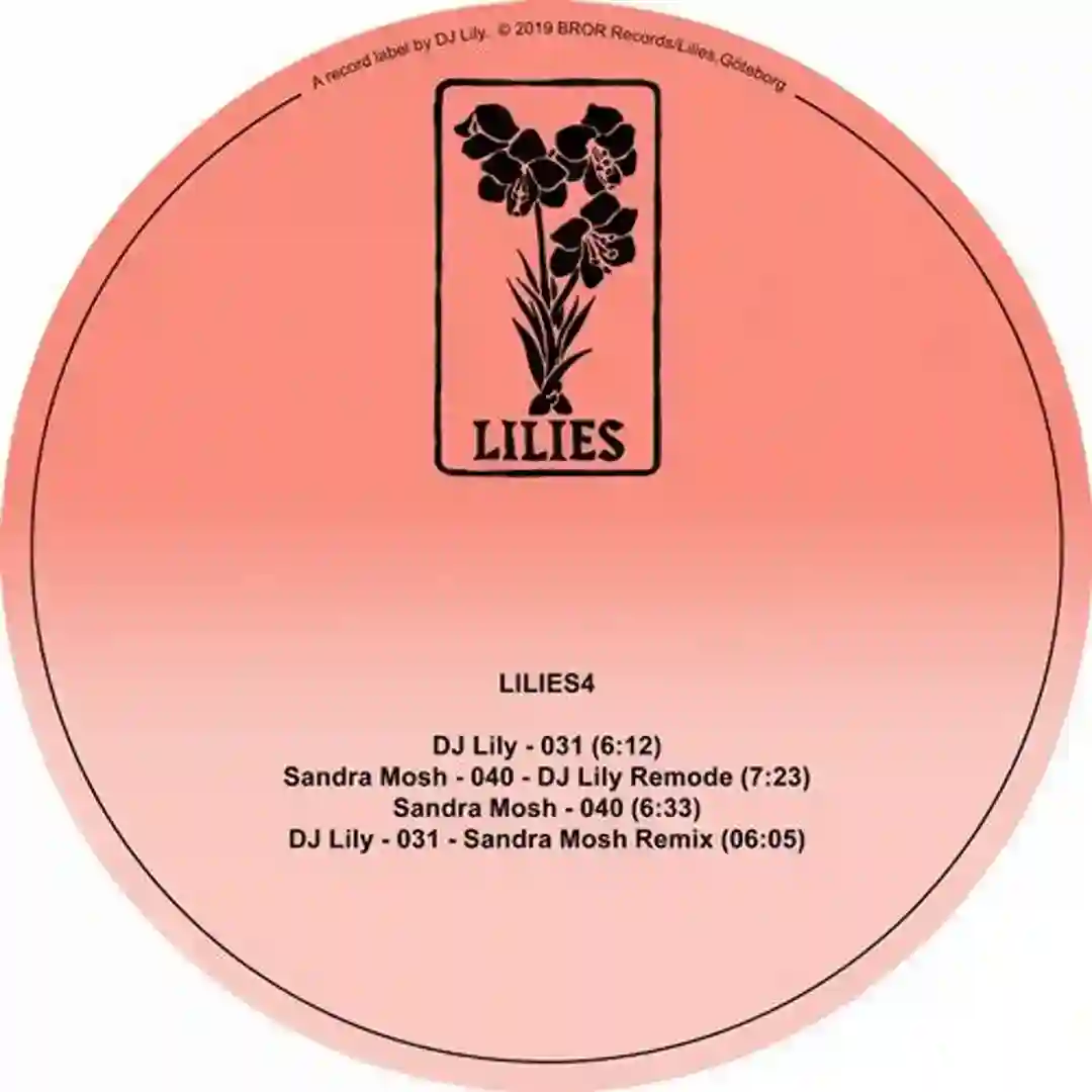 040 (DJ Lily Remode) cover
