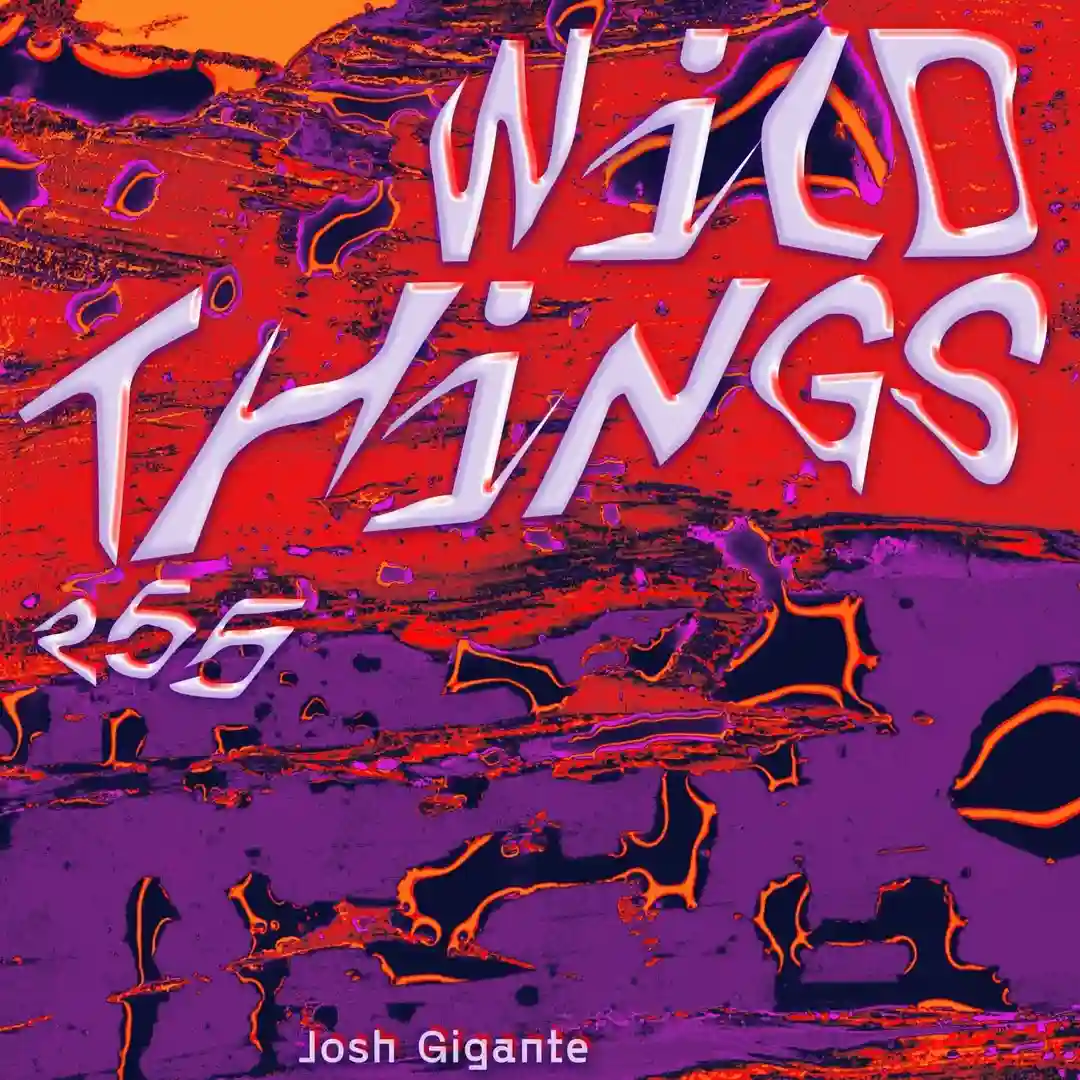 Wild Things (Instrumental) cover
