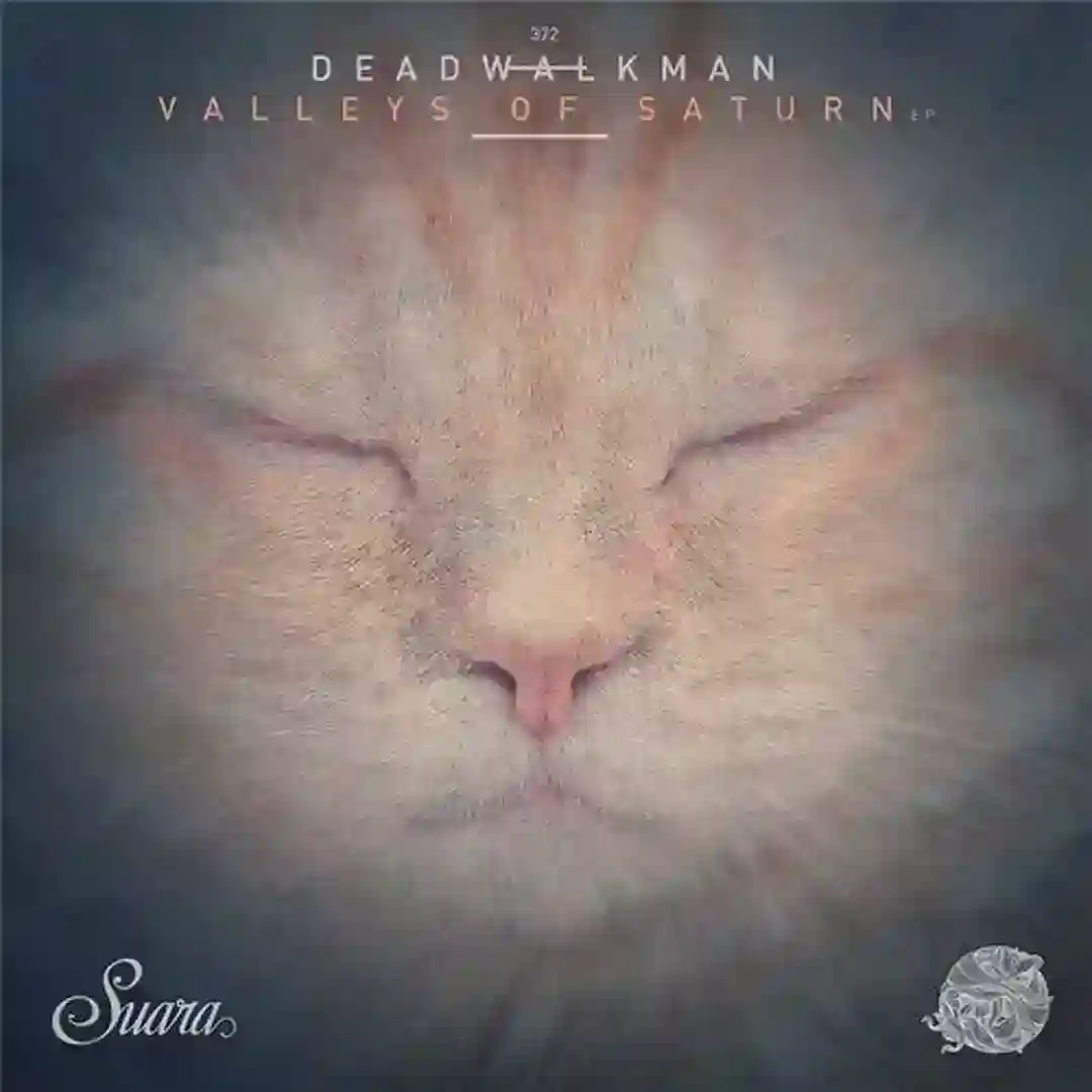 Valleys Of Saturn EP cover