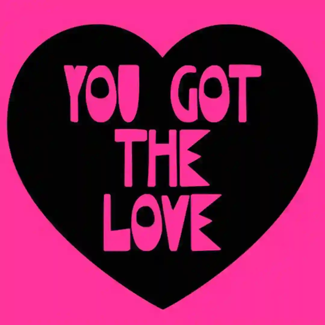 You Got The Love cover