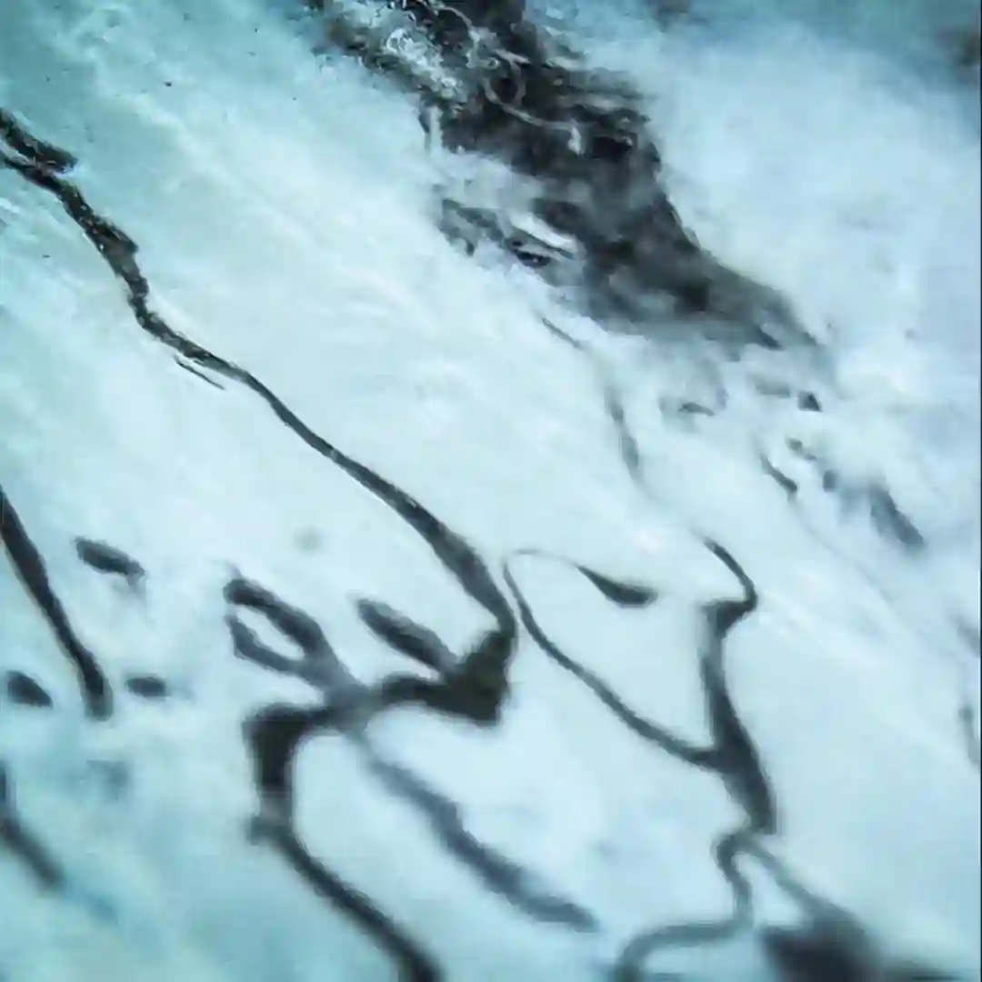 Thaw Cycle cover