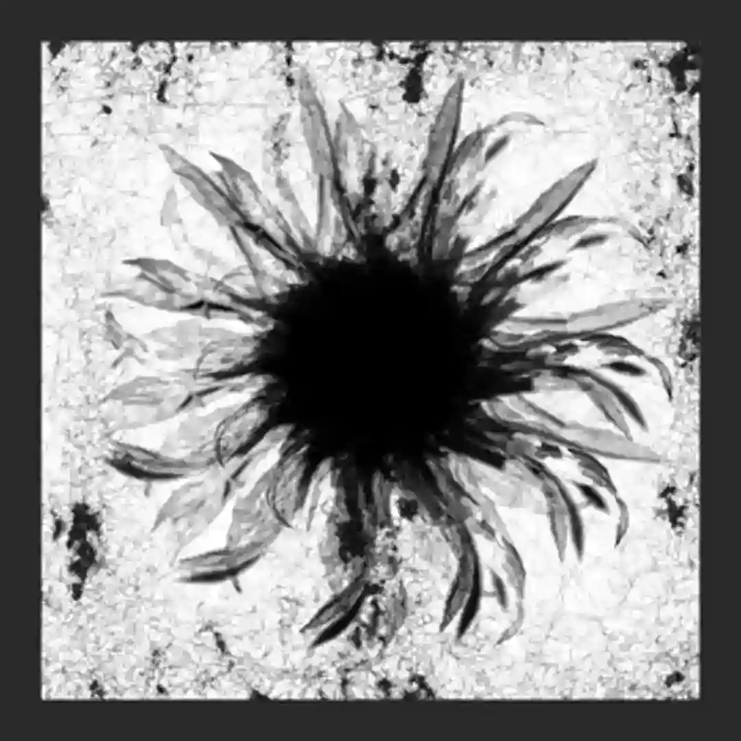 Emptiness (Extended Version Bonus) cover