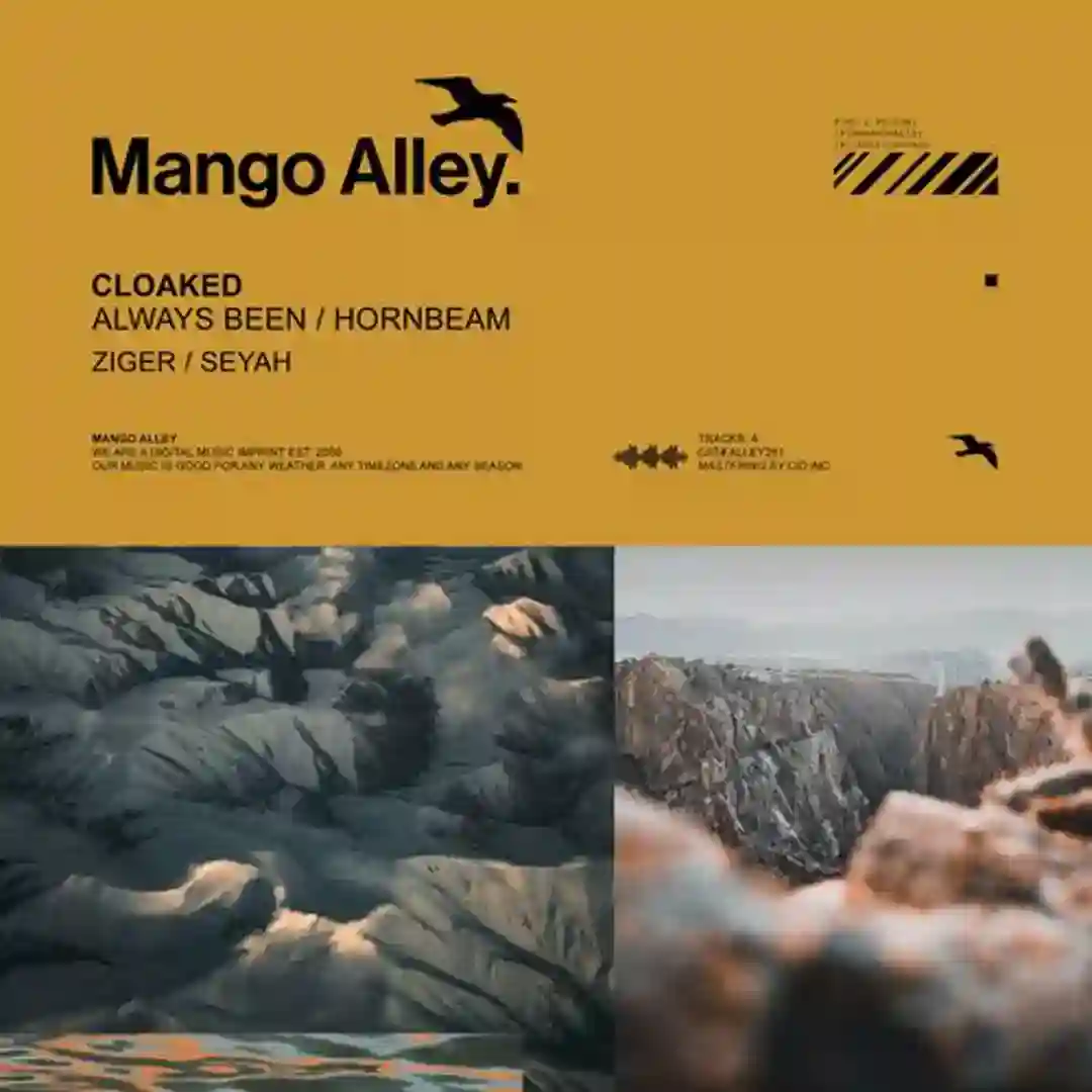 Always Been (Ziger Remix) cover