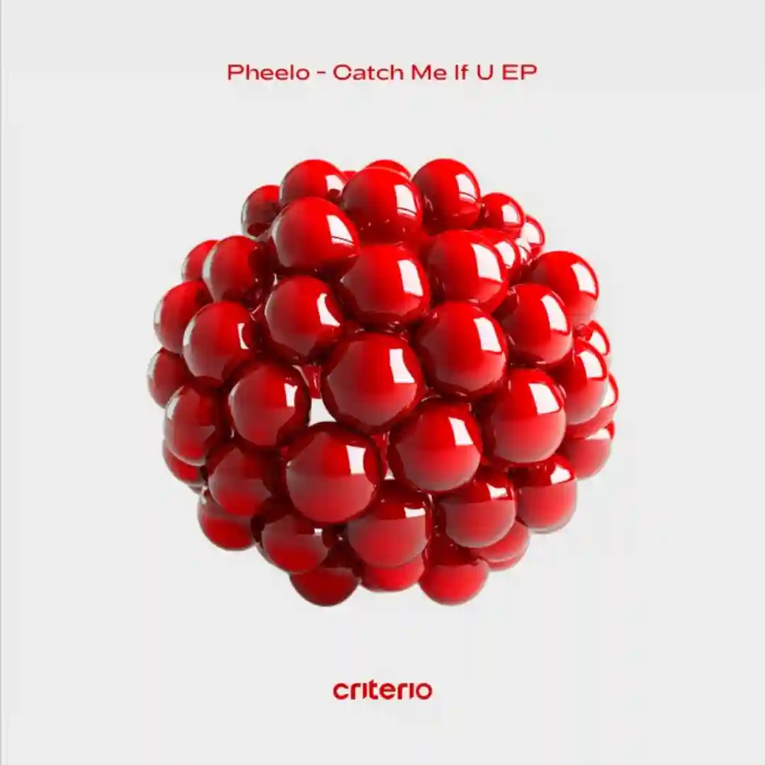 Catch Me If U cover