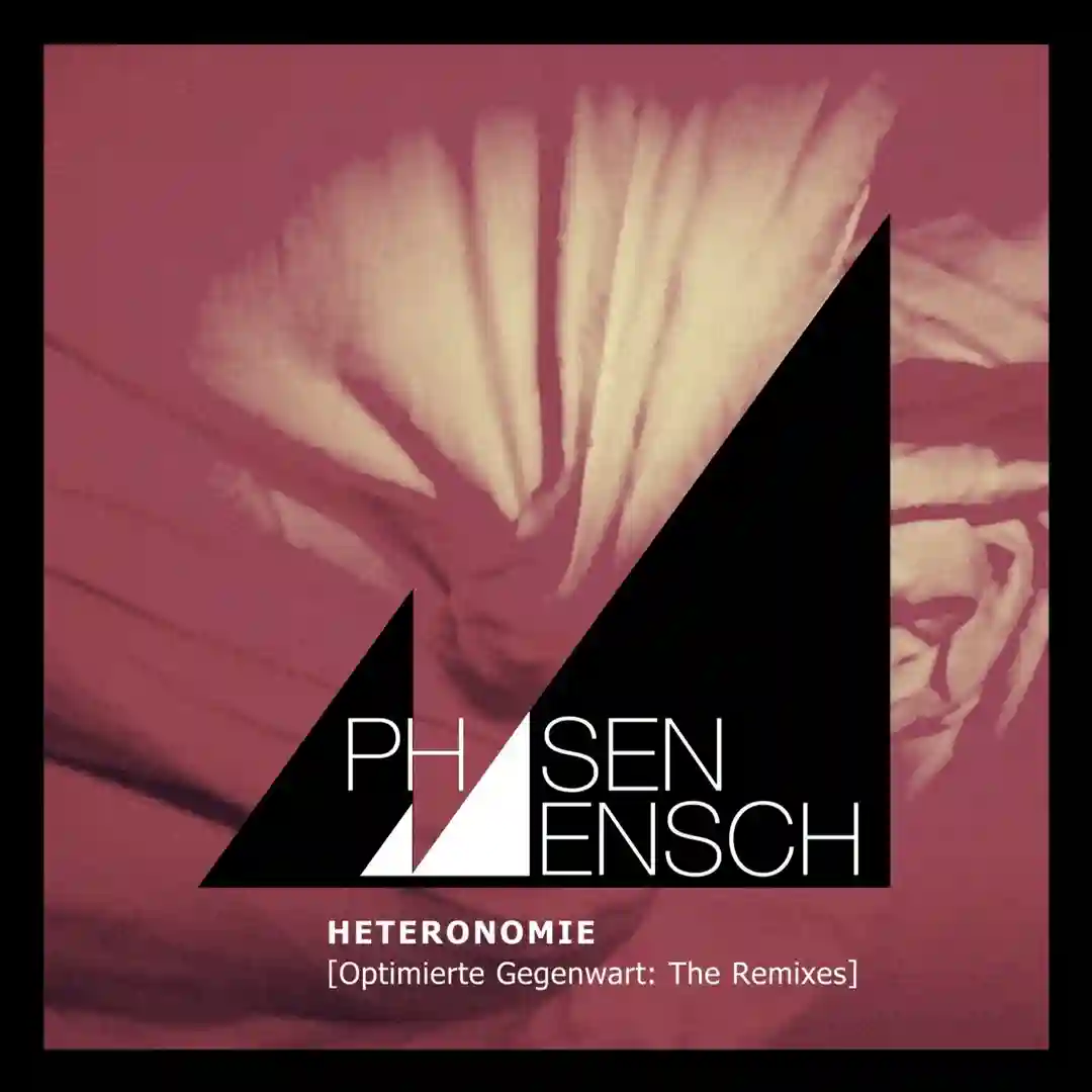 Vernunft und Leidenschaft (Yura Yura Remix) cover