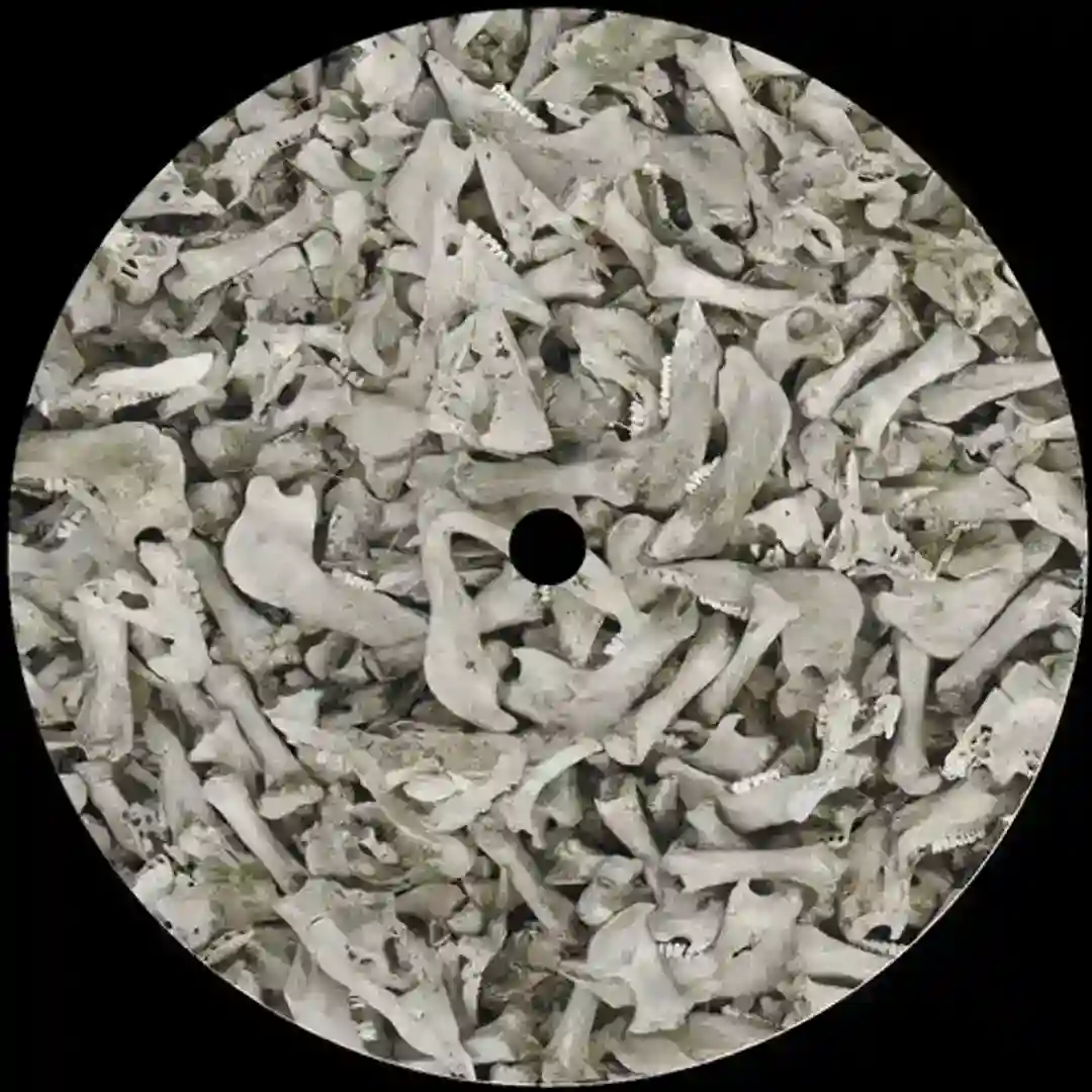 VOY005_B cover