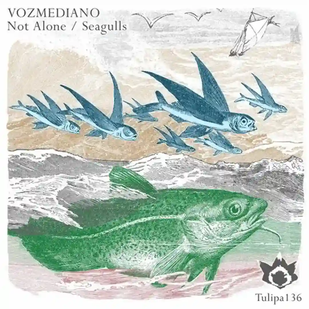 Seagulls (Original Mix) cover