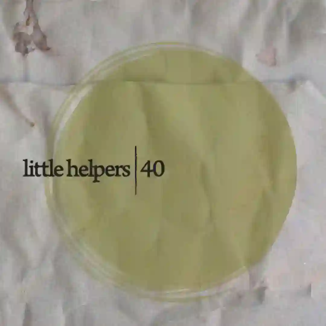 Little Helper 40-4 cover