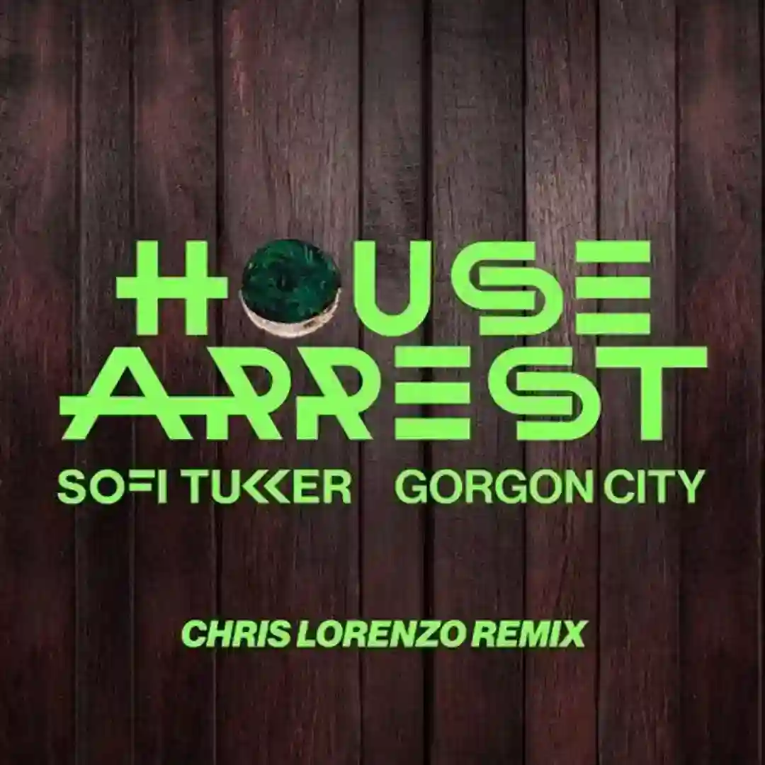 House Arrest (Chris Lorenzo Extended Mix) cover