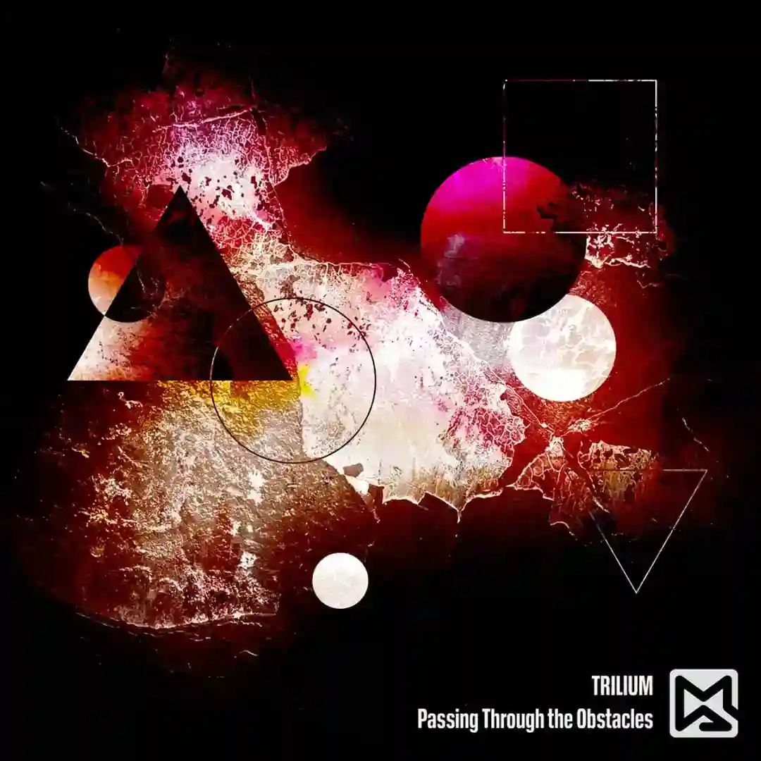 Passing Through the Obstacles cover