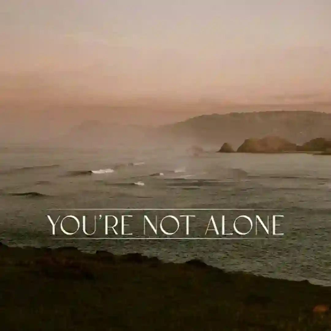 You're Not Alone (&friends Extended Remix) cover