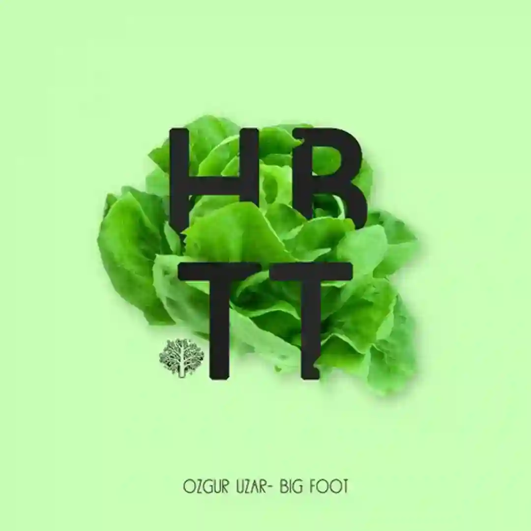 İntensity cover
