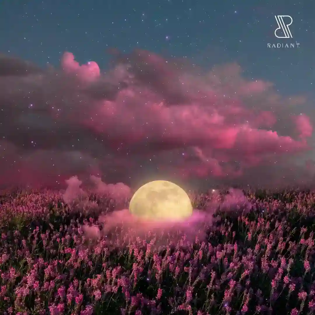 The Power Of Acceptance cover