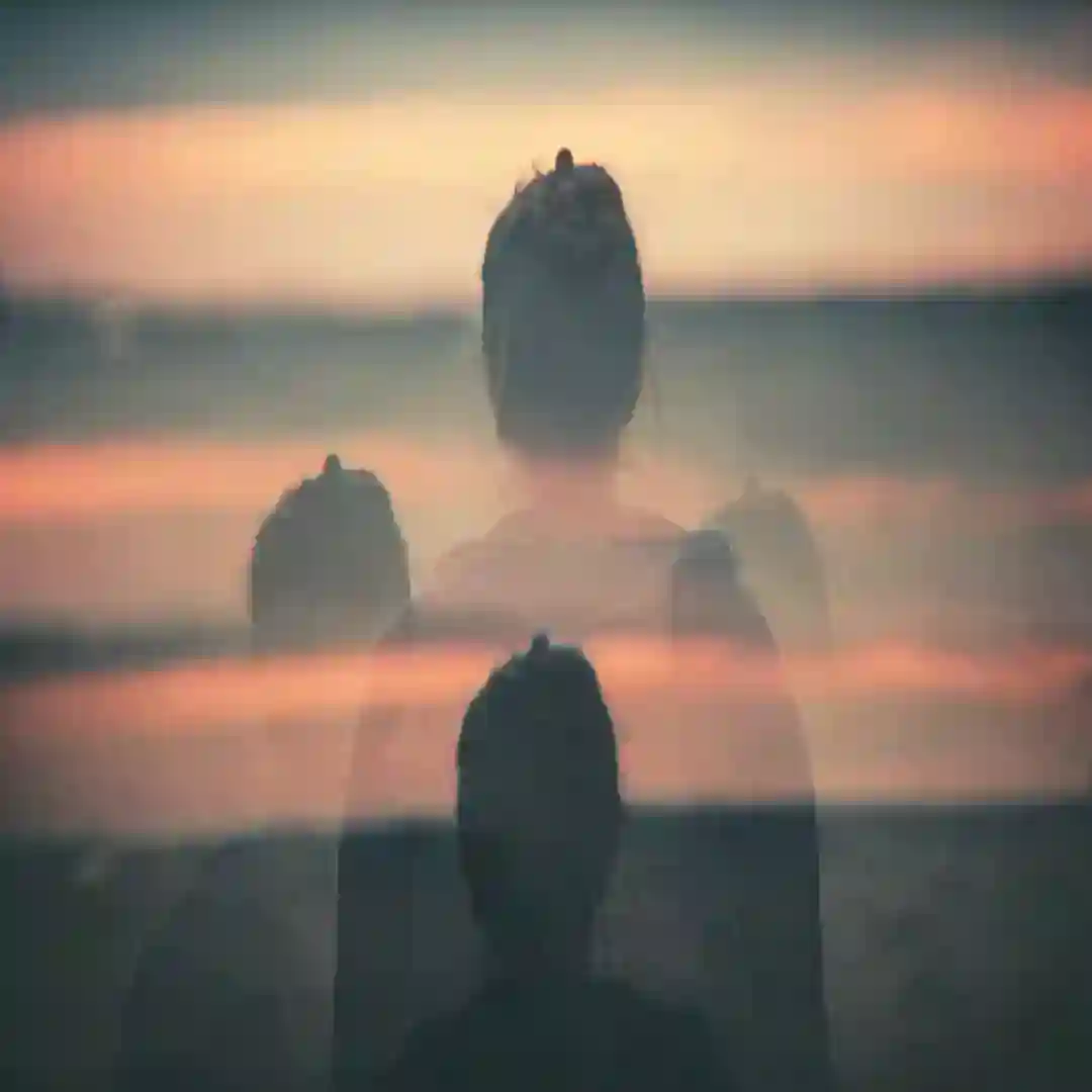 Evolution In Indifference cover