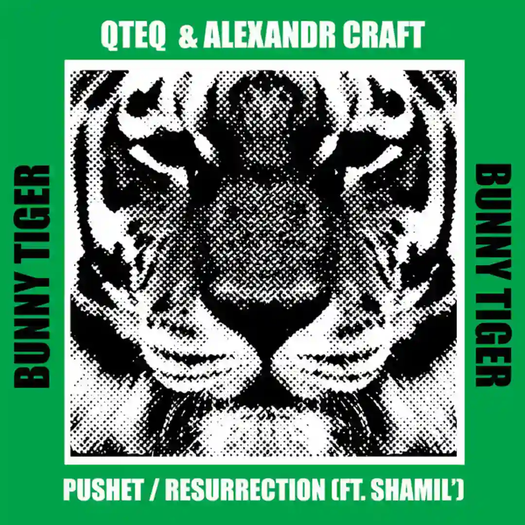 Resurrection (Original Mix) cover