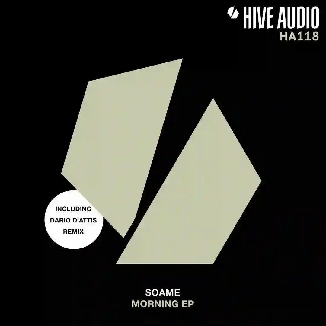Morning (Dario D'attis Remix) cover