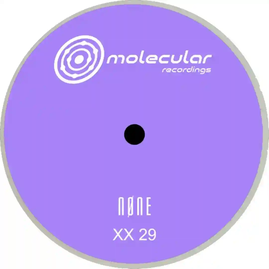 XX 29 A2 (Original Mix) cover