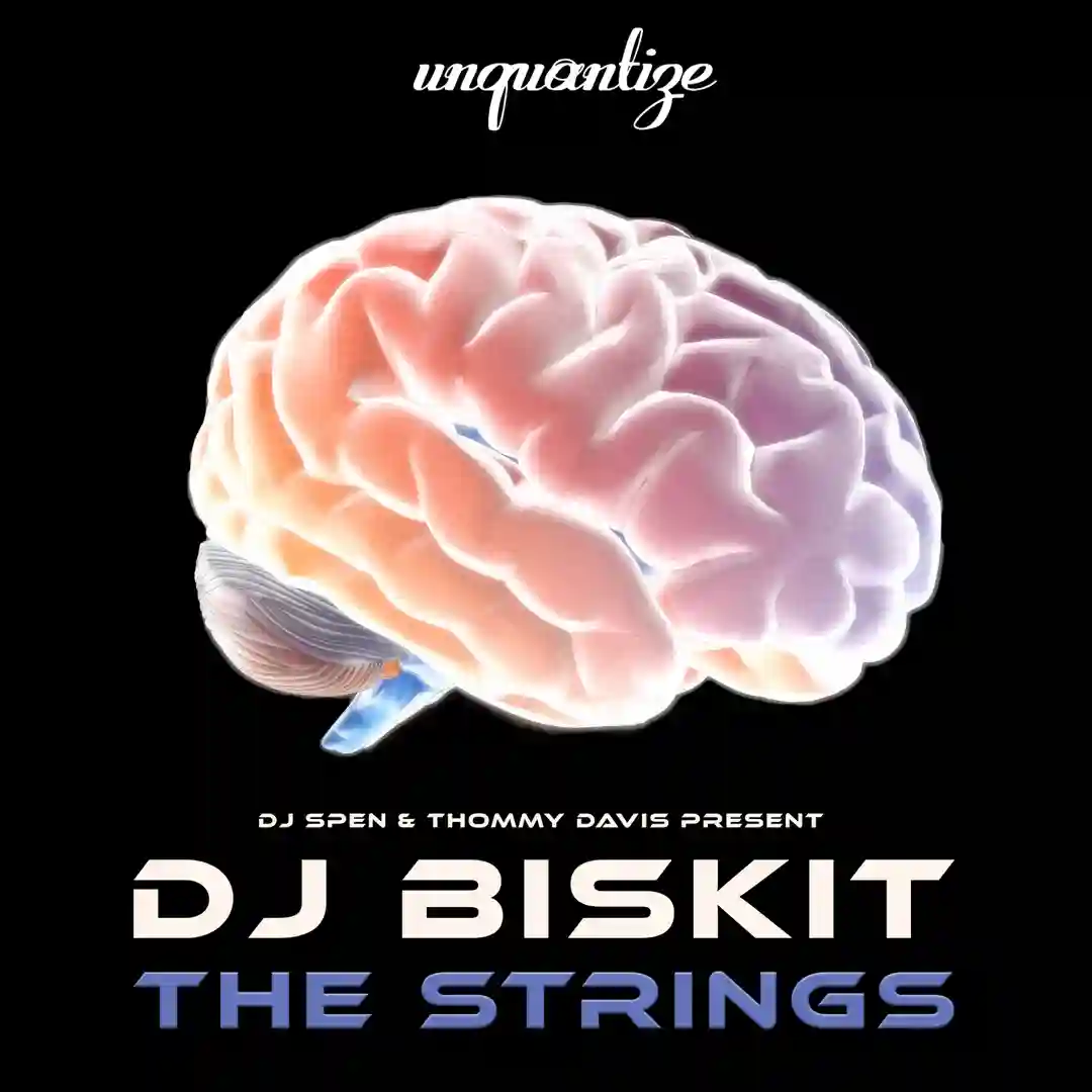 The Strings (Original Mix) cover