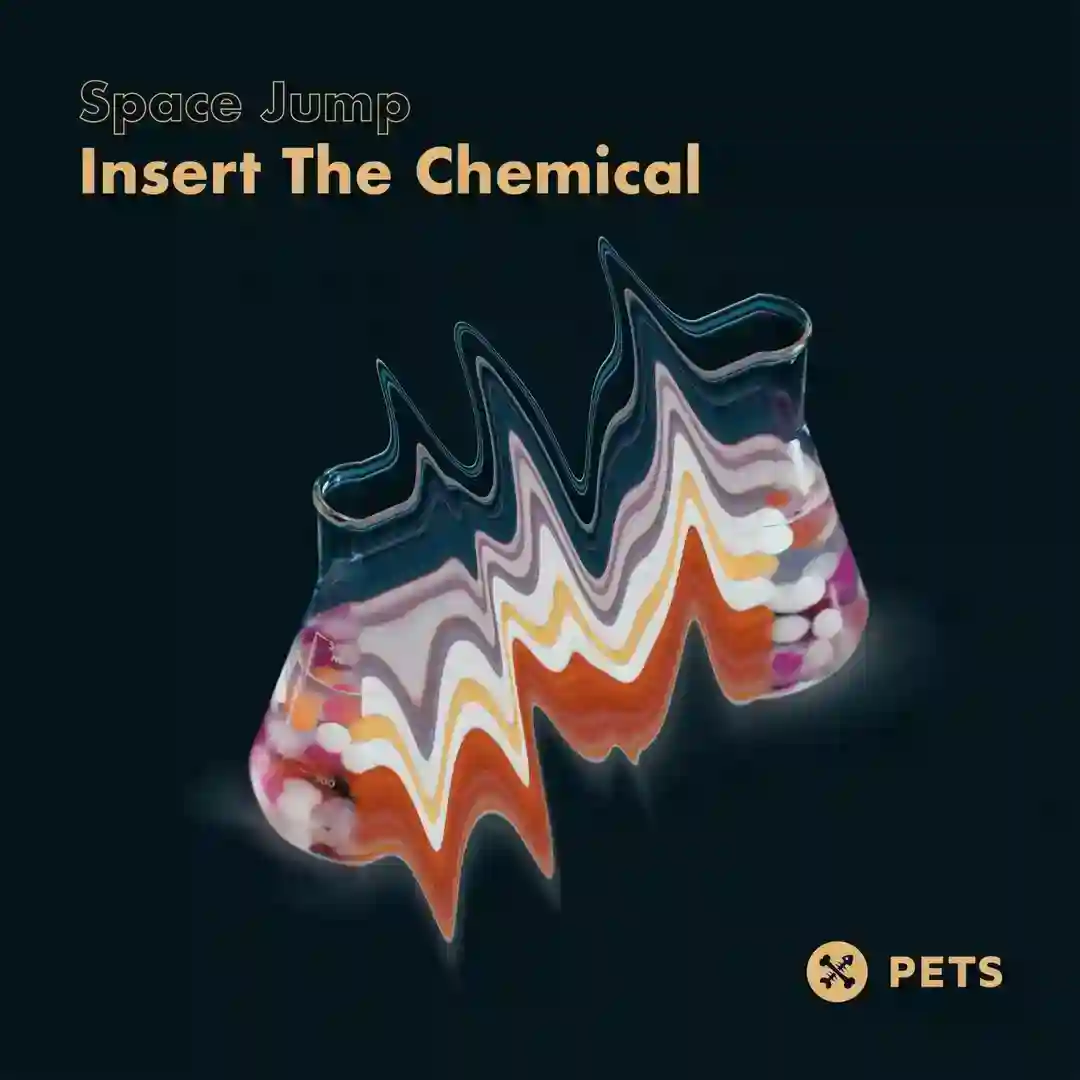 Insert The Chemical (Original Mix) cover