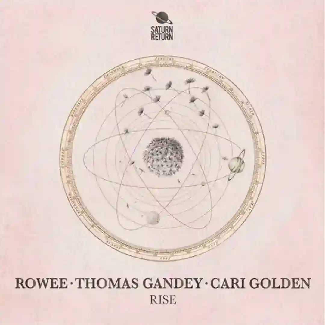 Rise cover