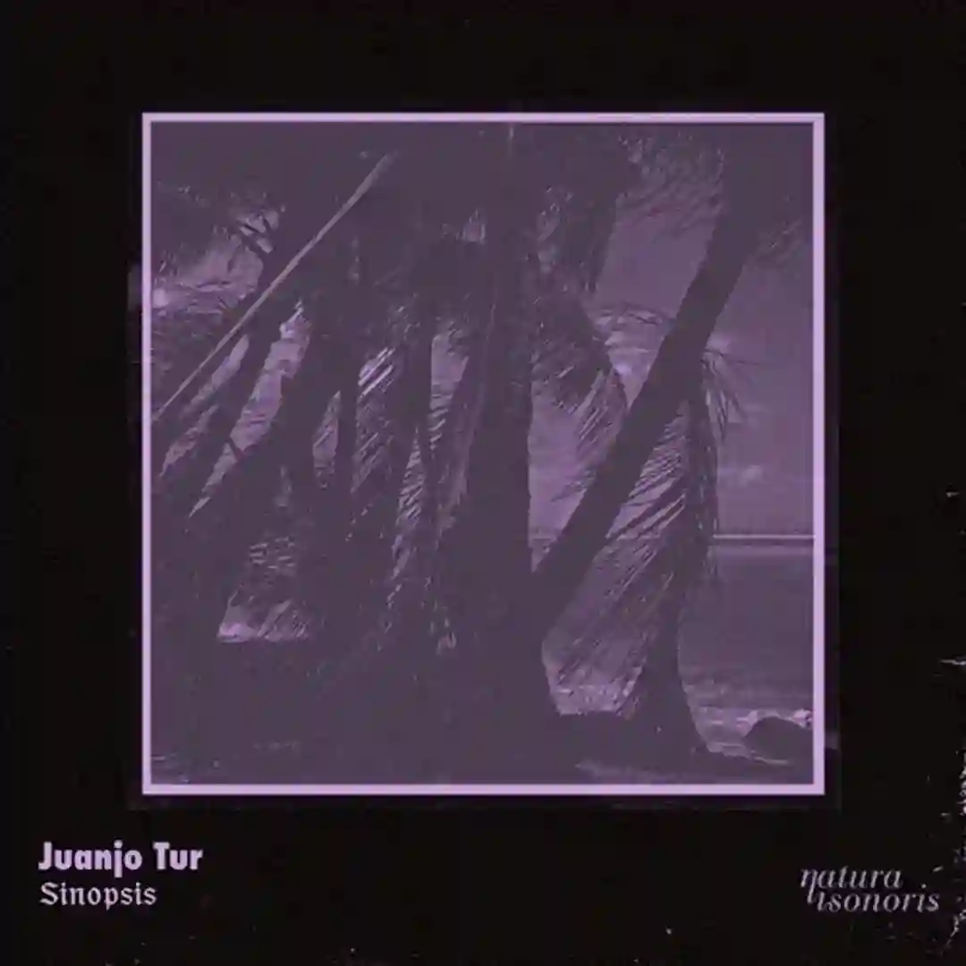Sinopsis cover