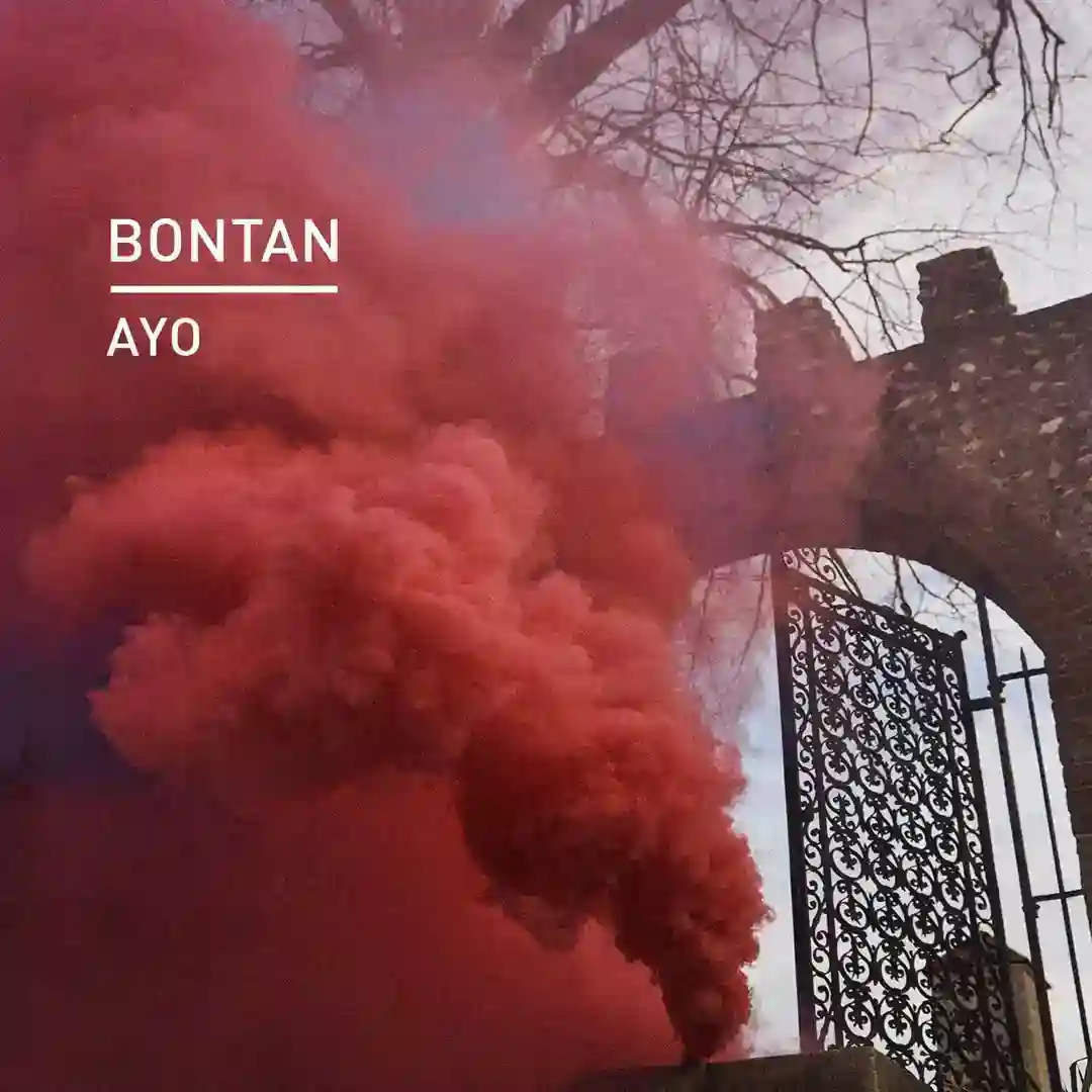 Ayo cover