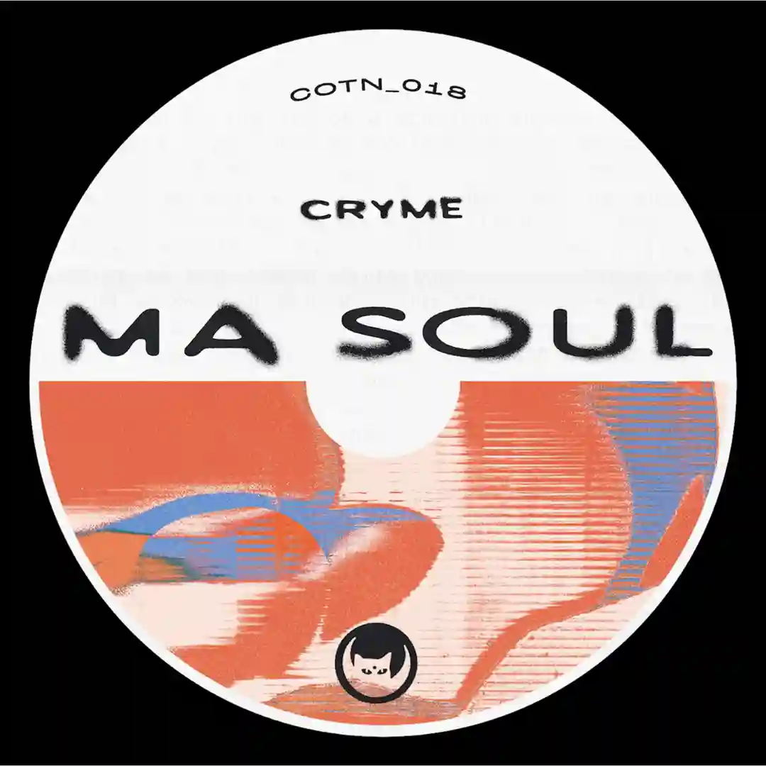 Ma Soul (Zombies in Miami Remix) cover