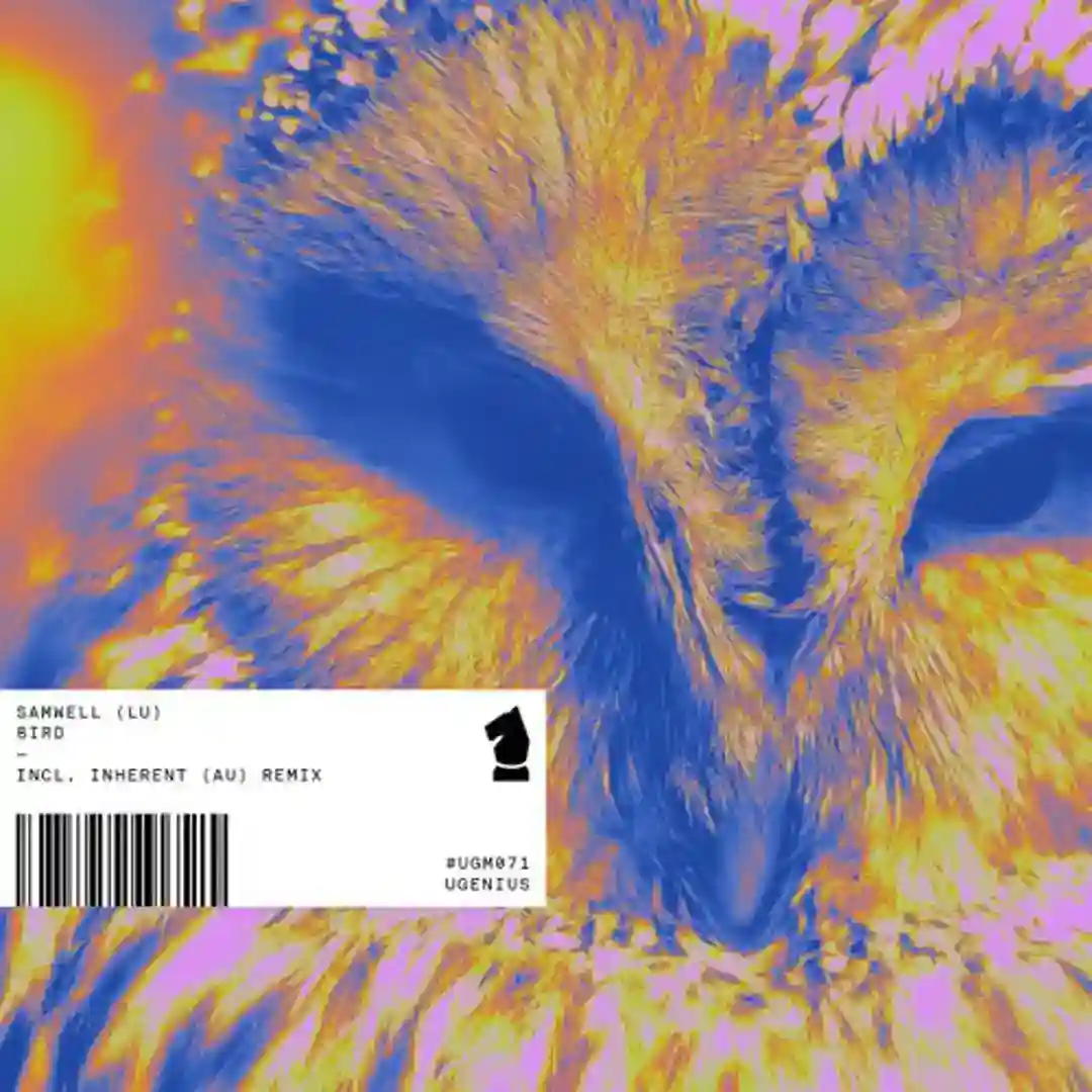 Bird (Inherent Remix) cover