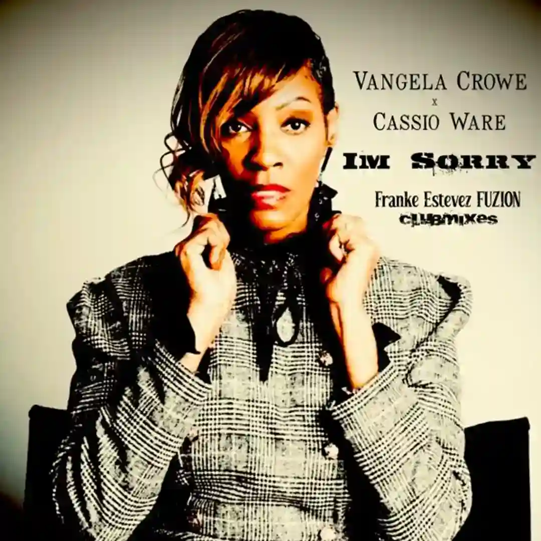 I'm Sorry (Franke Estevez FUZION ClubMix Instr.) cover