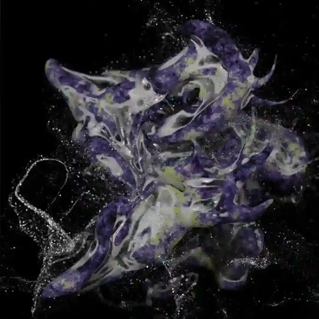 CREA001 cover