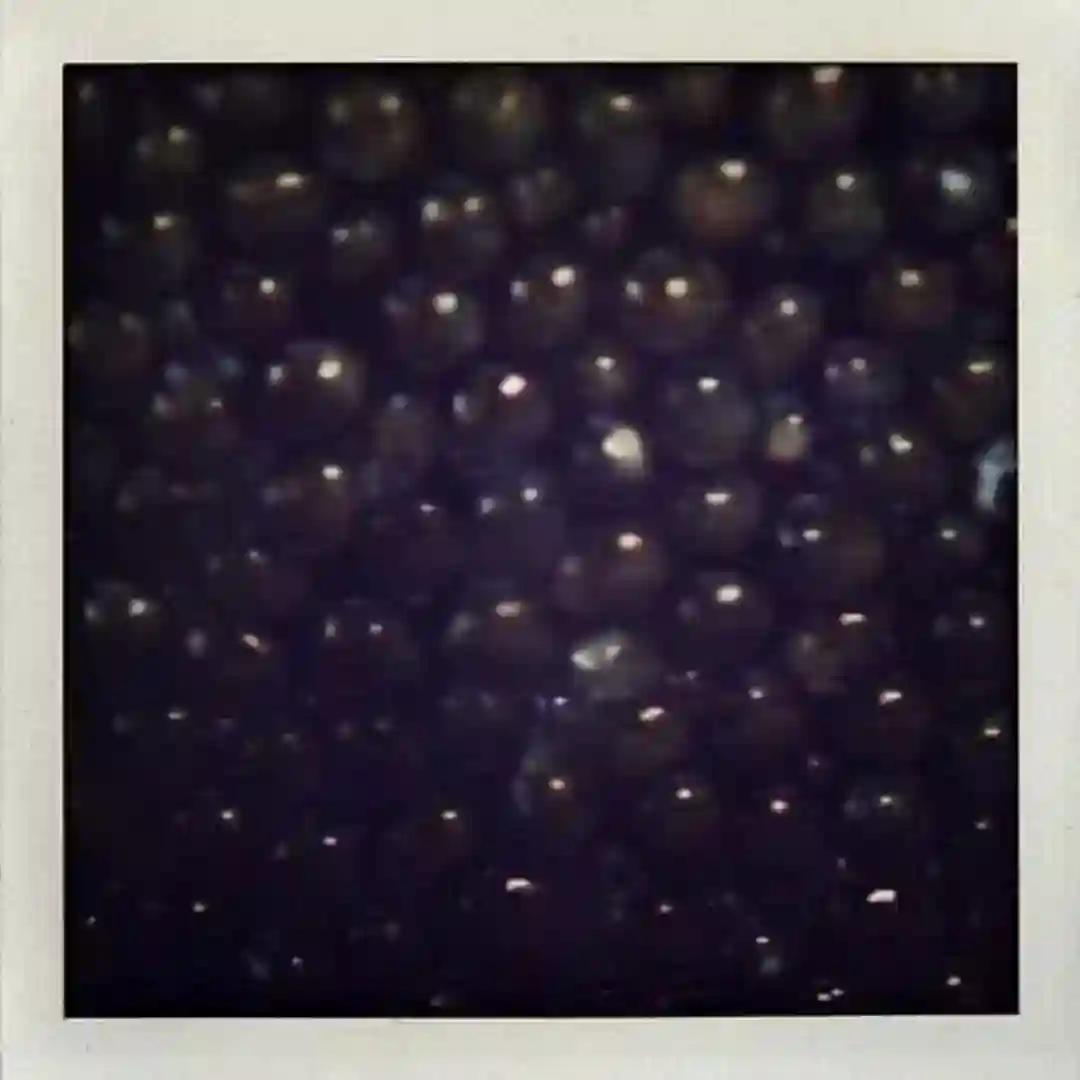 Caviar & Champagne (Philip Bader, Nicone Remix) cover