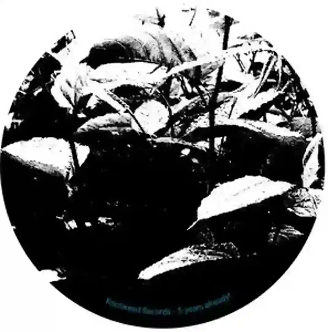 Damnation cover