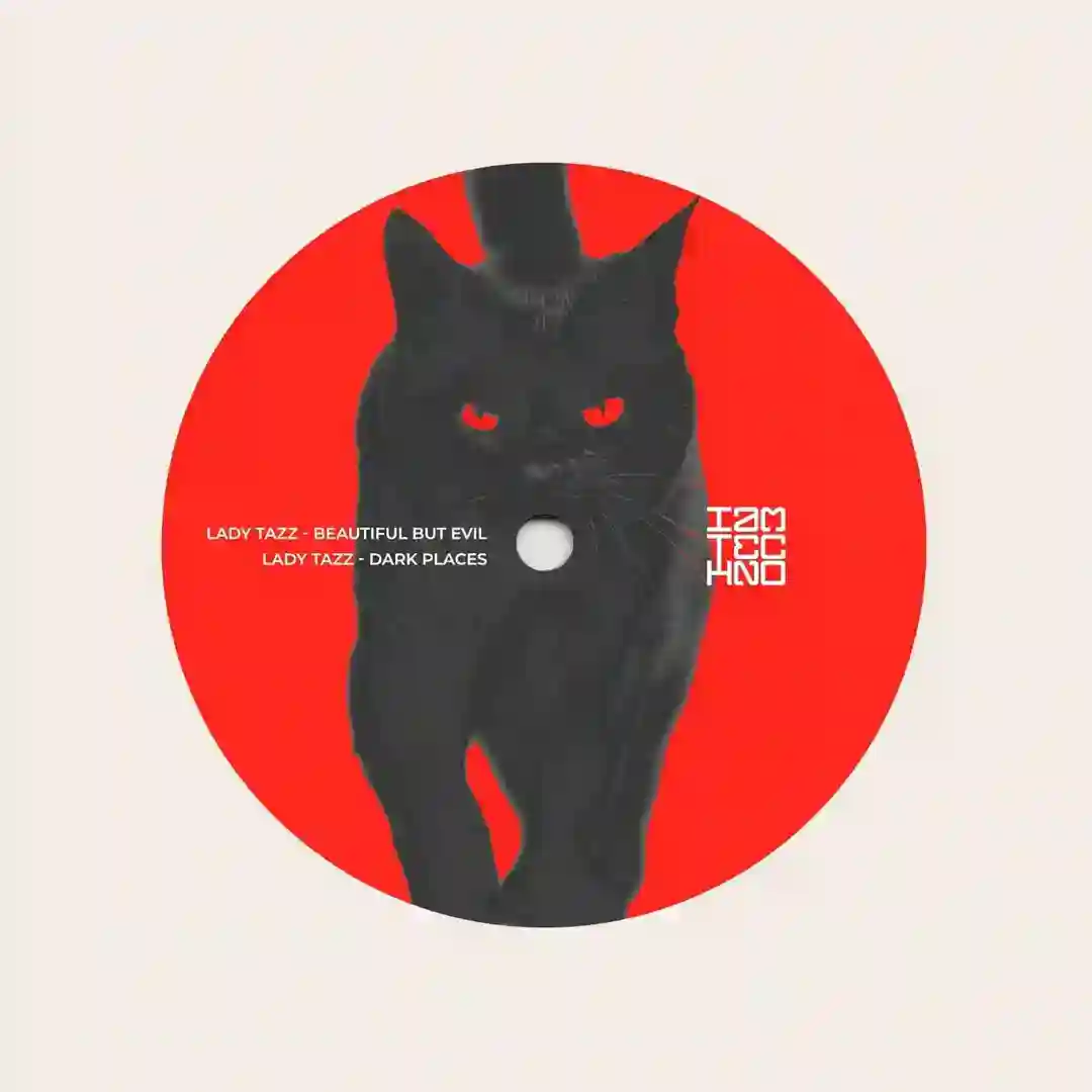 Beautiful but Evil cover