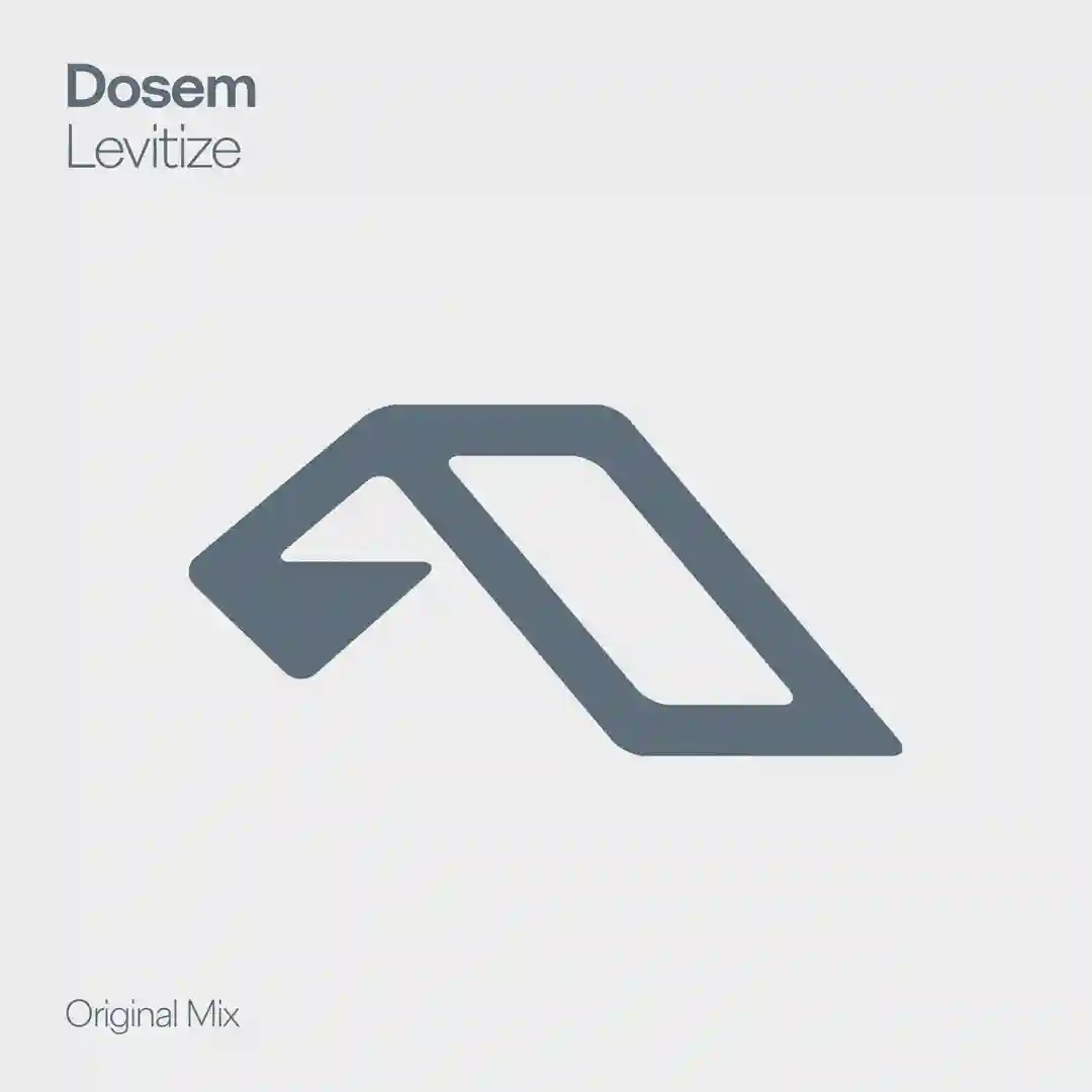 Levitize (Extended Mix) cover