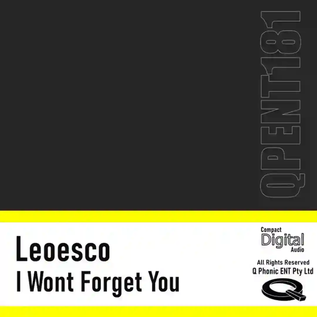 I Wont Forget You cover