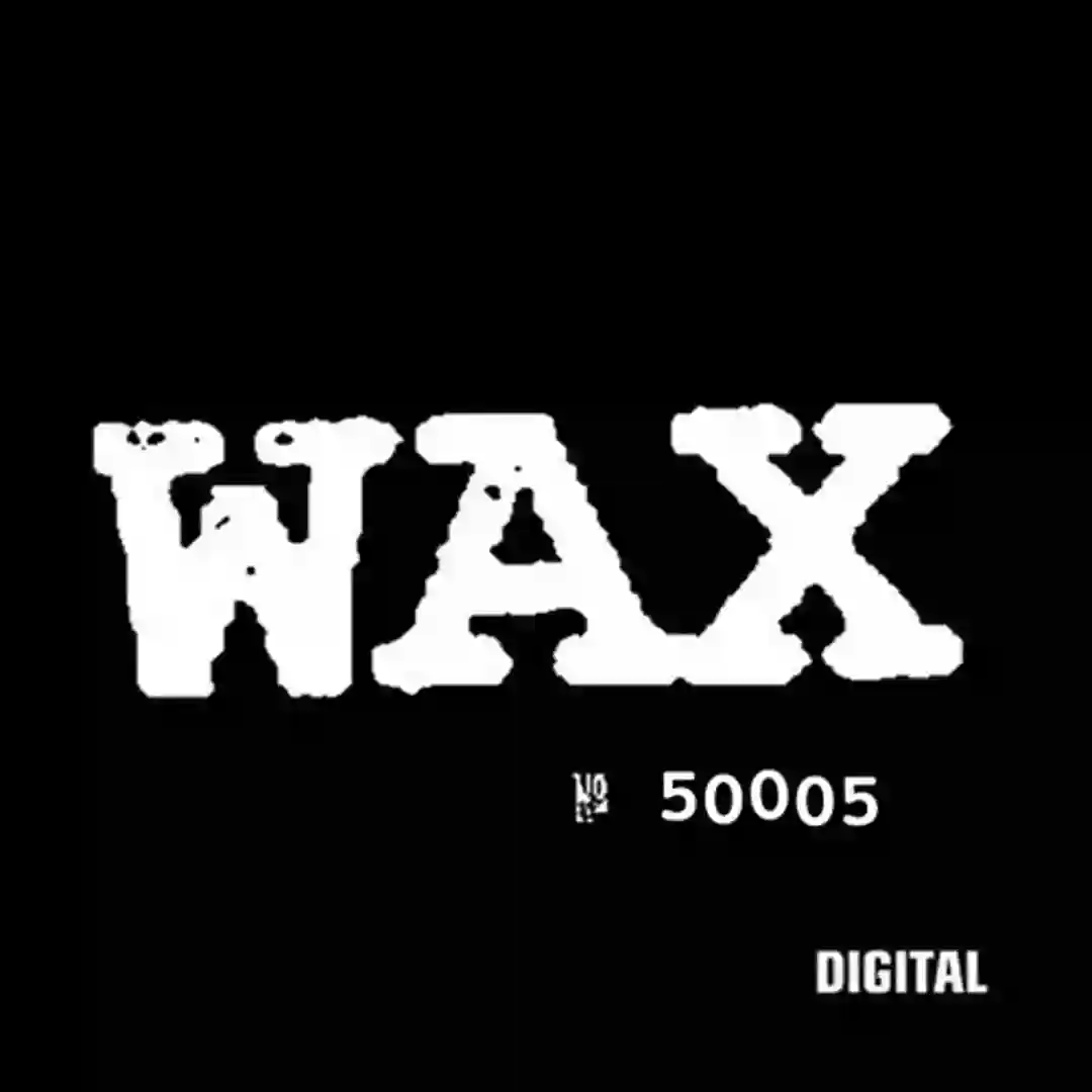 50005 B (Original Mix) cover
