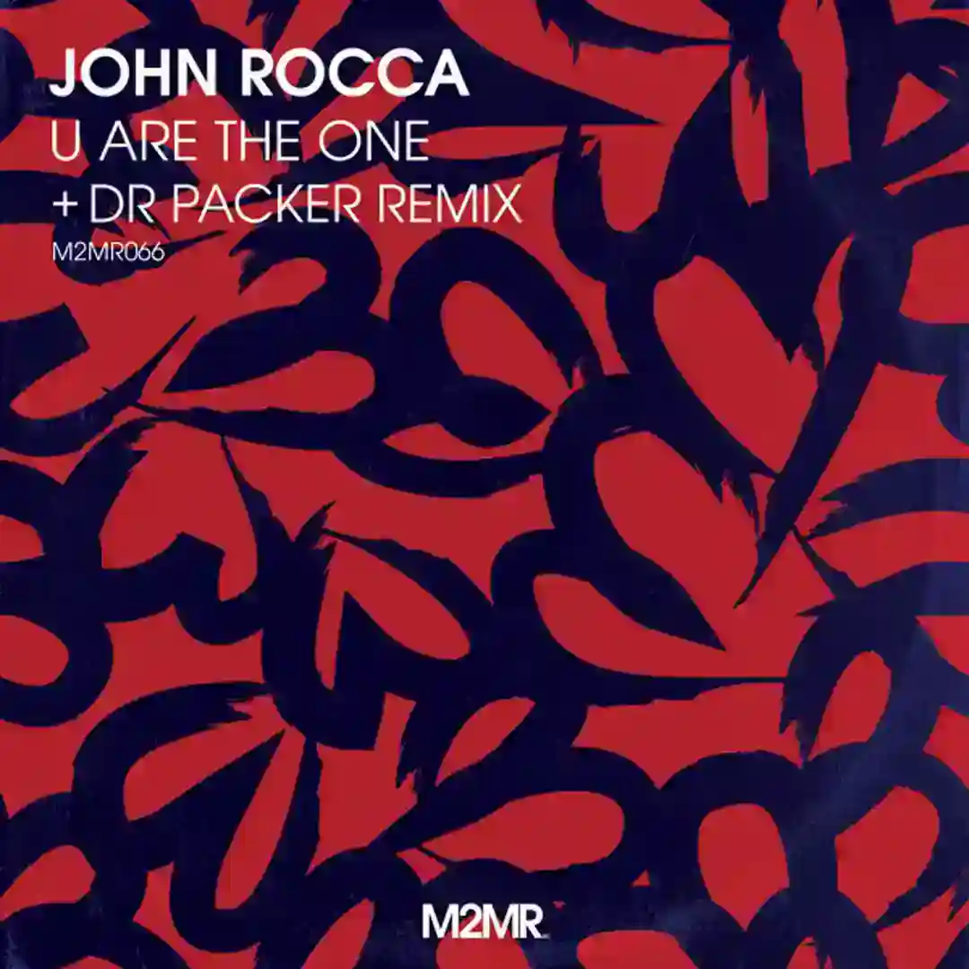 U Are The One (Dr Packer Remix) cover