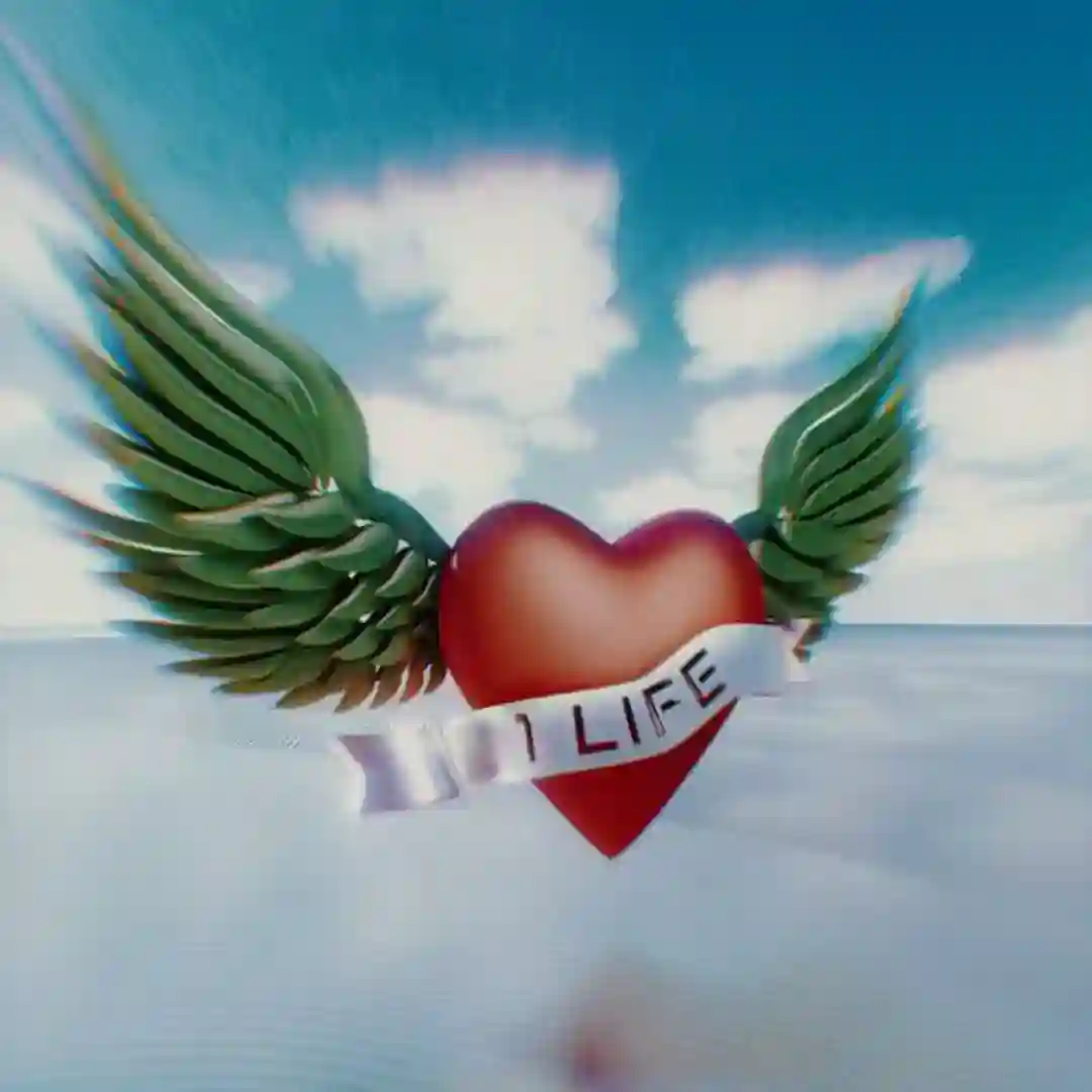 1 Life cover