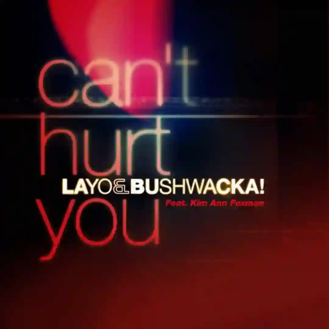 Can't Hurt You cover