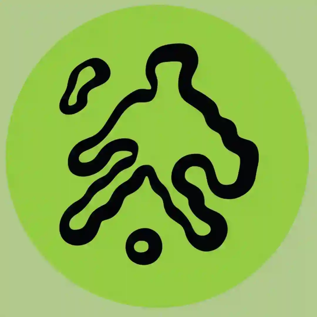 Liquid Experience cover