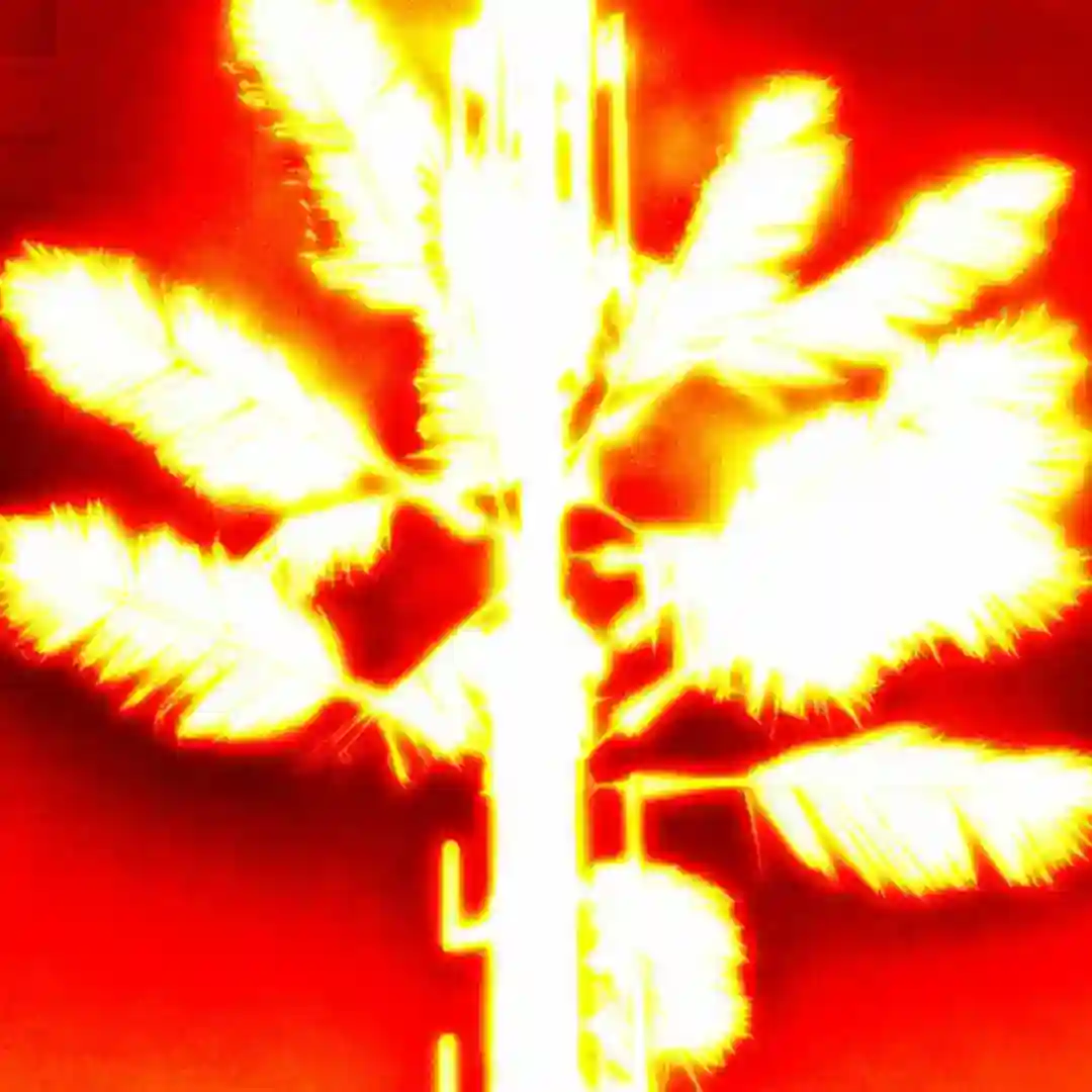 HIGH (Tibi Dabo Remix) cover