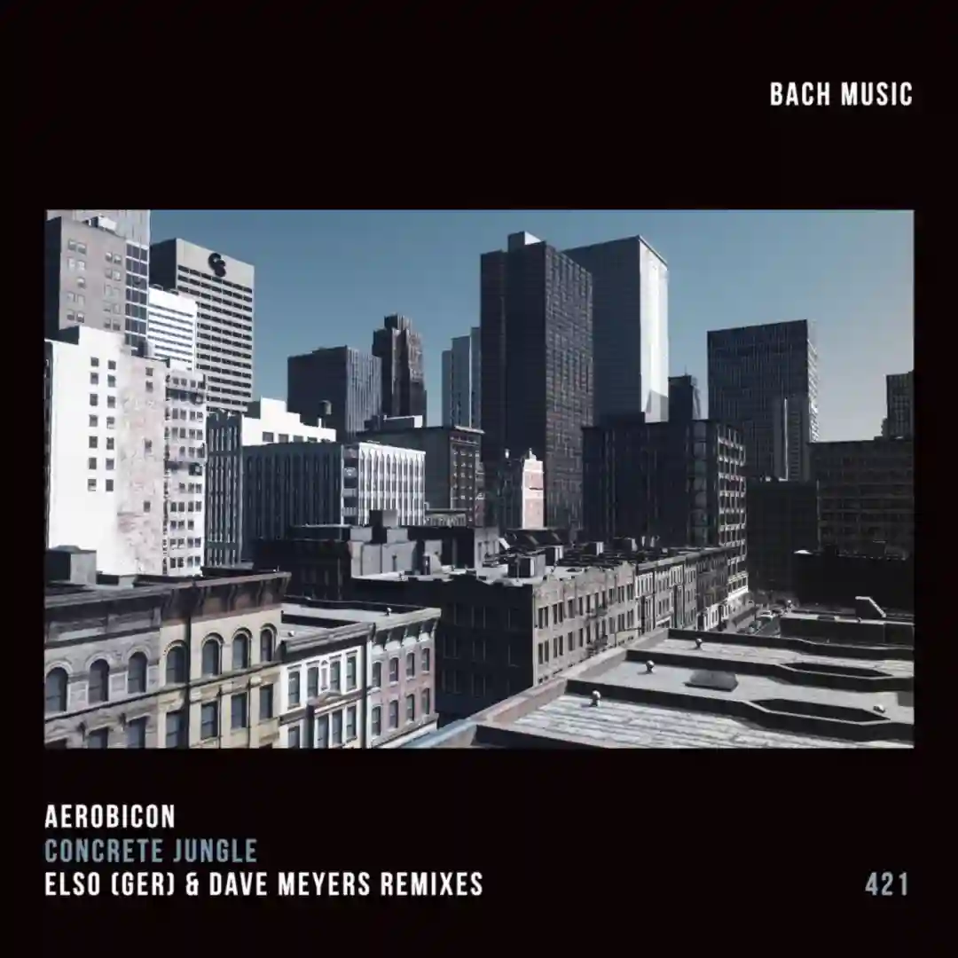 Concrete Jungle (Elso (GER) Remix) (Elso (GER) cover