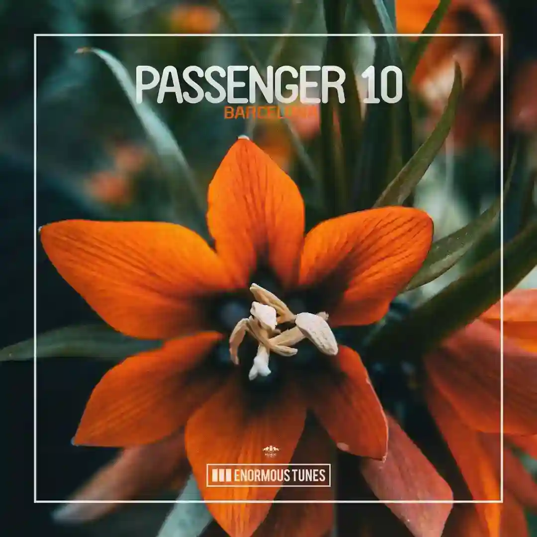 Barcelona cover